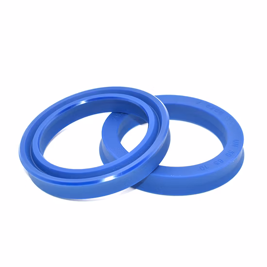 Rod & Piston Seals